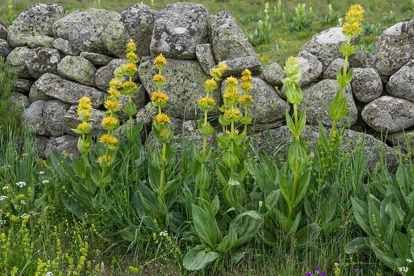  L Esclache - Sorties nature