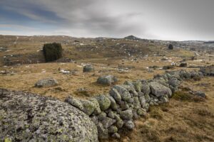  L Esclache - Peyre en Aubrac, des paysages à couper le souffle